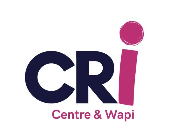 Logo Discri V6 Centre Wapi